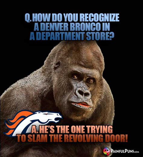 funny bronco memes|denver broncos jokes pictures.